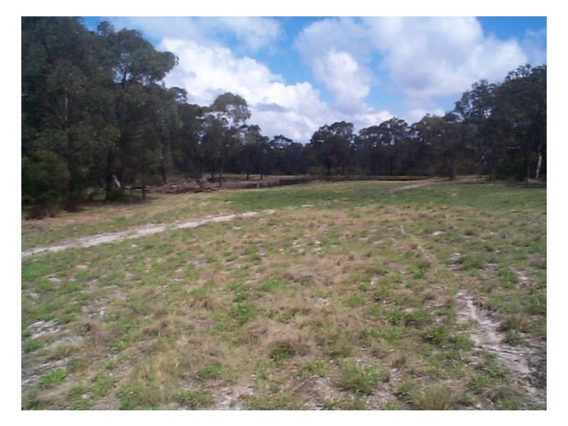 110 Donnellys Castle Road, The Summit QLD 4377