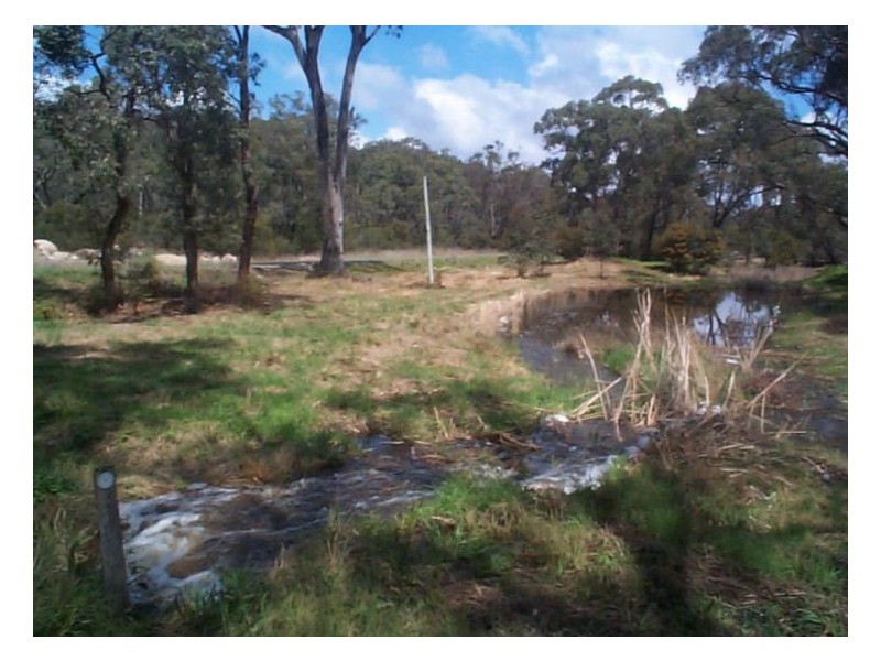 110 Donnellys Castle Road, The Summit QLD 4377