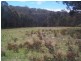 50 Mt Lindsay Road, Stanthorpe QLD 4380
