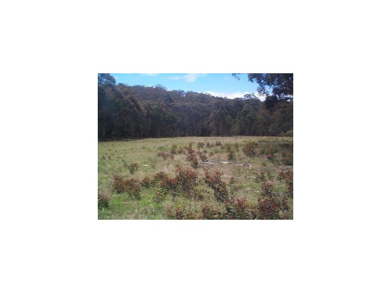 50 Mt Lindsay Road, Stanthorpe QLD 4380
