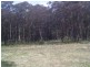 50 Mt Lindsay Road, Stanthorpe QLD 4380