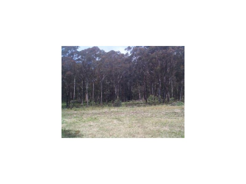 50 Mt Lindsay Road, Stanthorpe QLD 4380