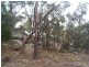 Stanthorpe QLD 4380