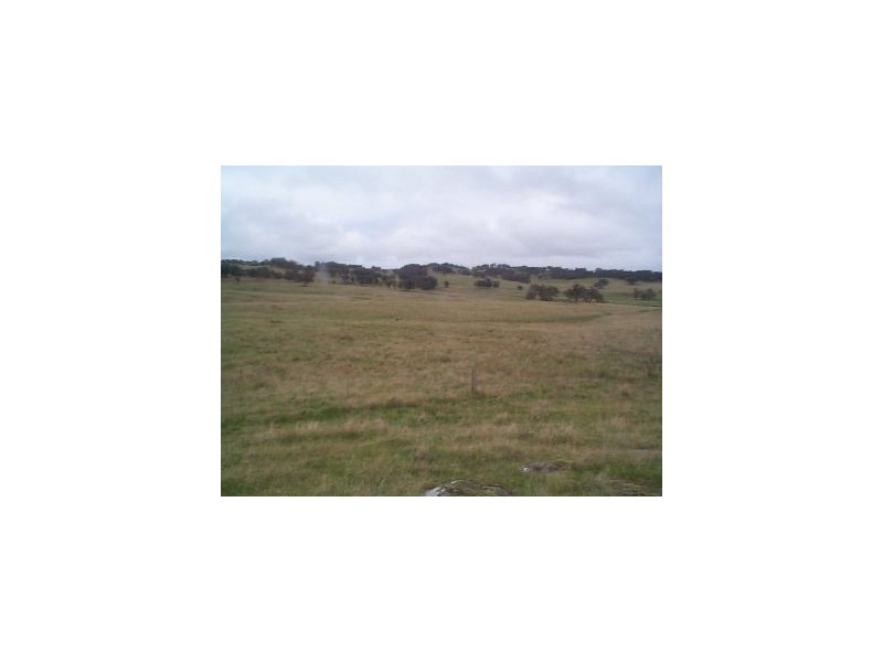 5966 Mount Lindesay Road, Stanthorpe QLD 4380