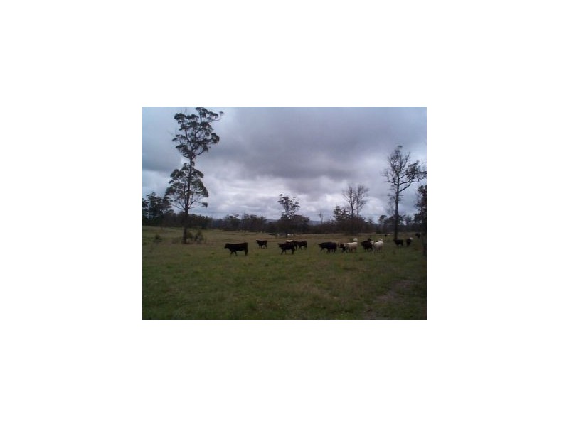 5966 Mount Lindesay Road, Stanthorpe QLD 4380