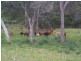 1 Razorback Creek Road, Stanthorpe QLD 4380