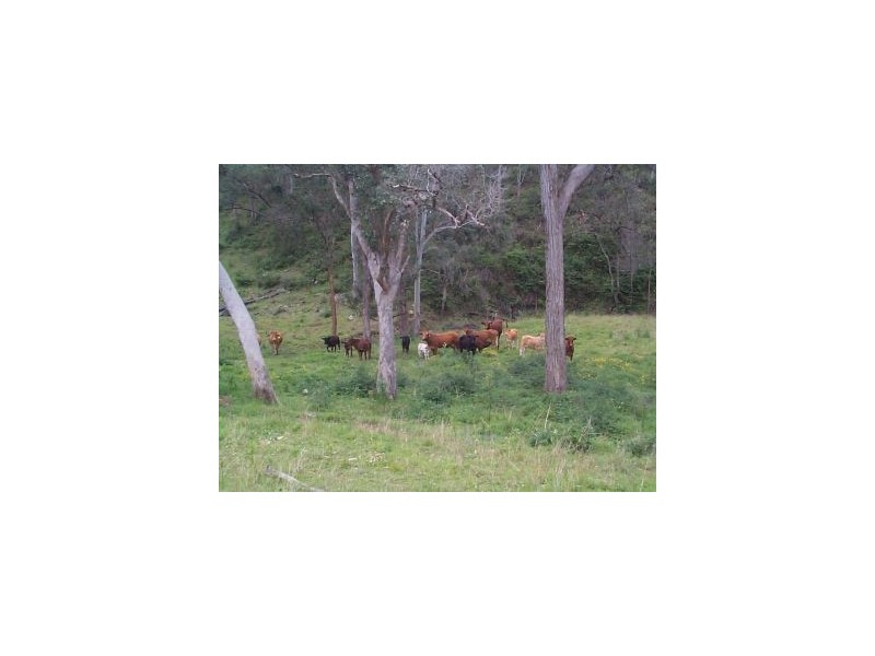 1 Razorback Creek Road, Stanthorpe QLD 4380