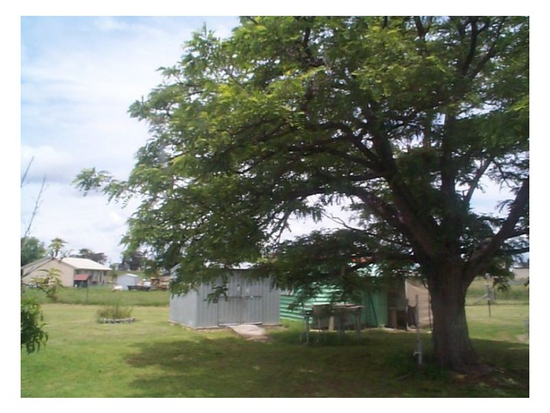 41 Margetts Street, Wallangarra QLD 4383