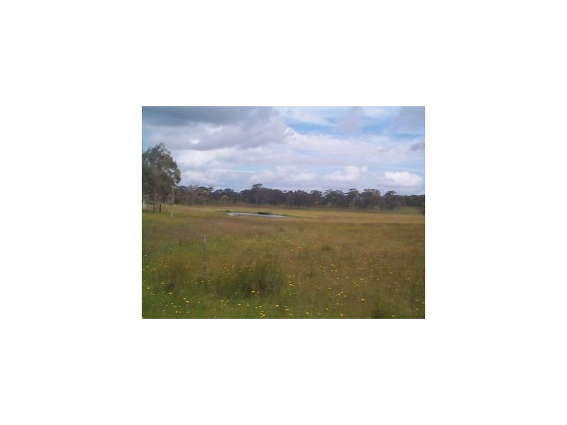 1252 Wylie Creek Road, The Summit QLD 4377