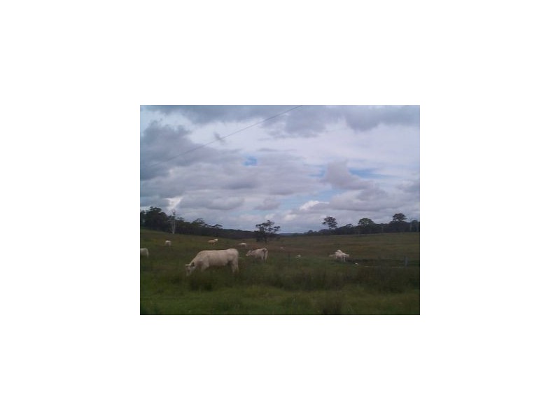 1252 Wylie Creek Road, The Summit QLD 4377