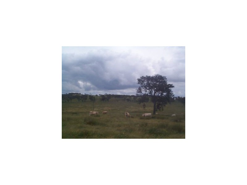 1252 Wylie Creek Road, The Summit QLD 4377