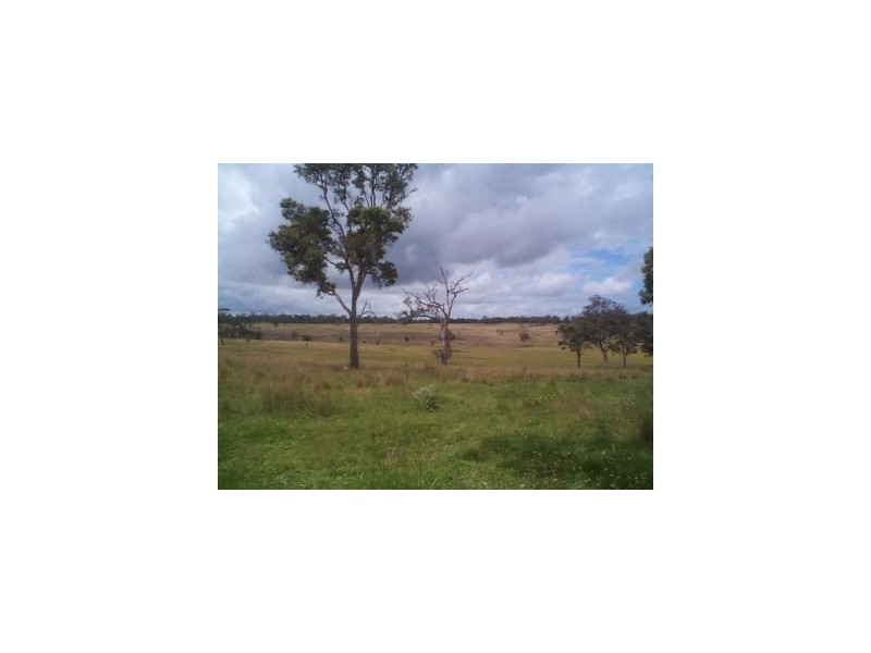 1252 Wylie Creek Road, The Summit QLD 4377