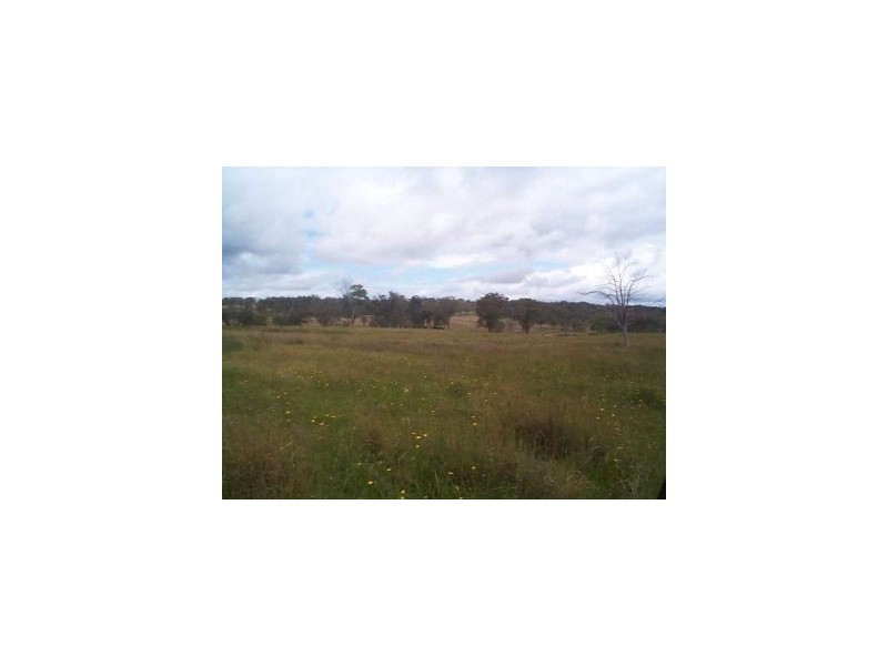 1252 Wylie Creek Road, The Summit QLD 4377