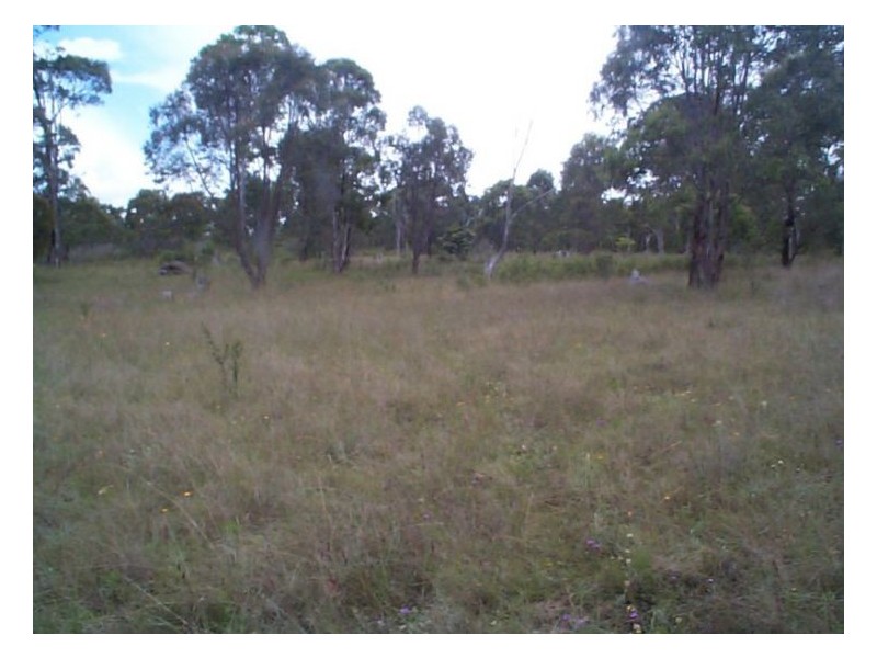 71 Old Stanthorpe Road, Dalveen QLD 4374
