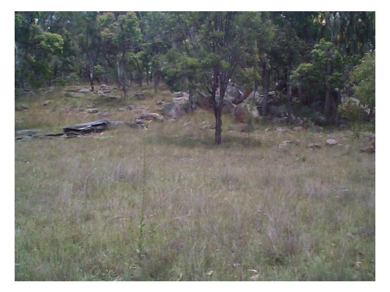 71 Old Stanthorpe Road, Dalveen QLD 4374