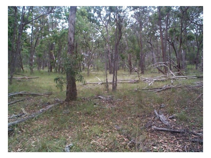 71 Old Stanthorpe Road, Dalveen QLD 4374