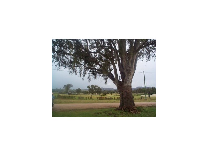 15 Margetts Street, Wallangarra QLD 4383