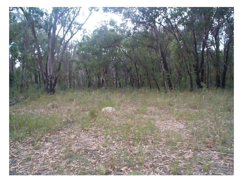 469 Nundubbermere Road, Stanthorpe QLD 4380