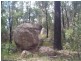 469 Nundubbermere Road, Stanthorpe QLD 4380