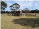 1003 Granite Belt Drive, Dalveen QLD 4374
