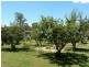 36 Willocks Lane, Stanthorpe QLD 4380