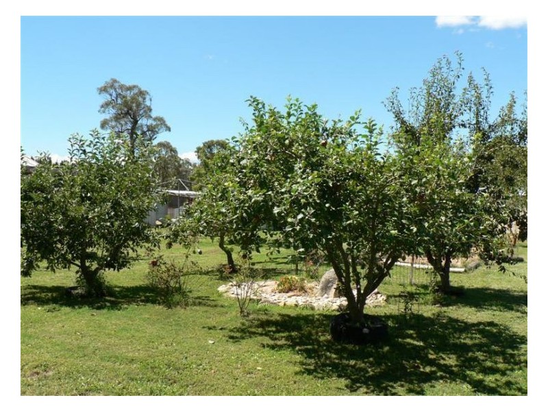 36 Willocks Lane, Stanthorpe QLD 4380
