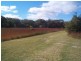 193 Dalcouth Road, Stanthorpe QLD 4380