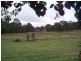 225 Tunnel Road, Dalveen QLD 4374
