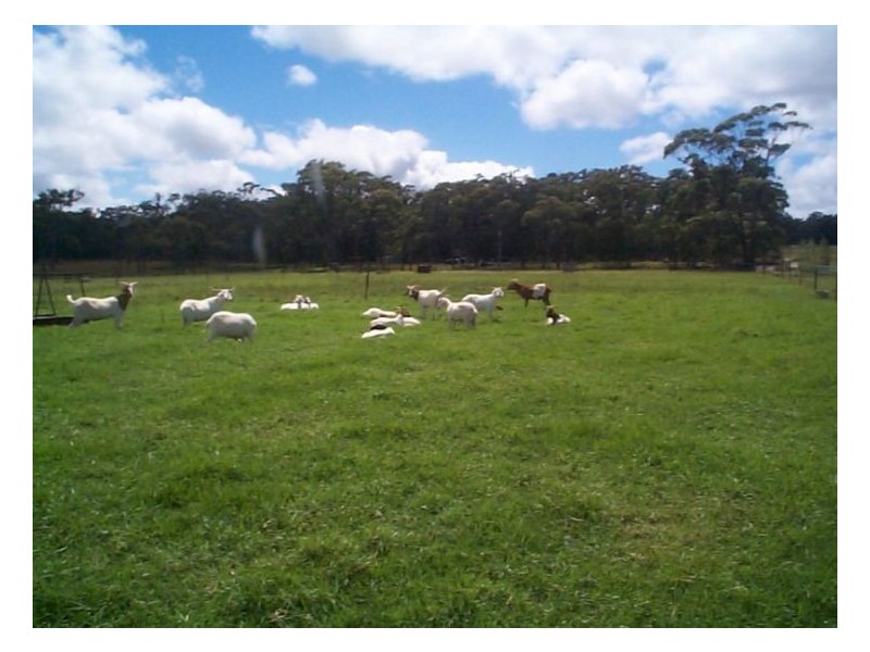 1 Granite Belt Drive, Dalveen QLD 4374