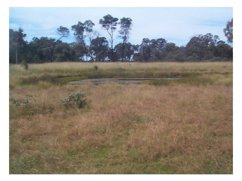 22408 New England Highway, Dalveen QLD 4374
