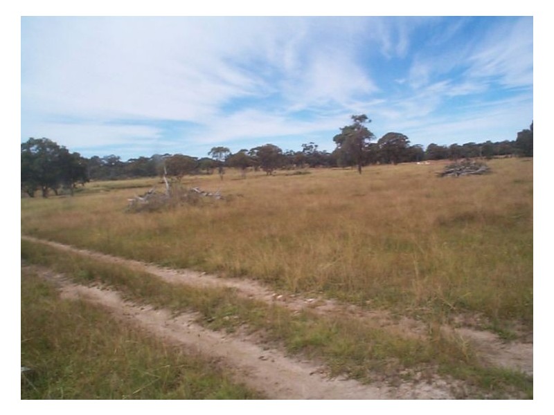 22408 New England Highway, Dalveen QLD 4374