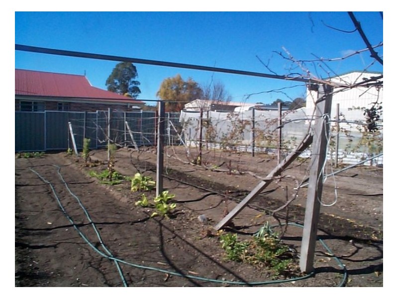 1 Smythe Street, Stanthorpe QLD 4380