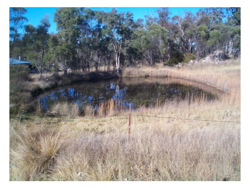 51 Lees Mountain Road, Stanthorpe QLD 4380