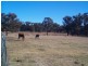 26 Stanley Road, Stanthorpe QLD 4380