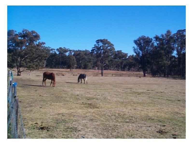 26 Stanley Road, Stanthorpe QLD 4380
