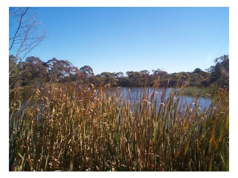 120  Pradellas Lane, Stanthorpe QLD 4380