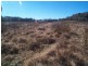 120  Pradellas Lane, Stanthorpe QLD 4380