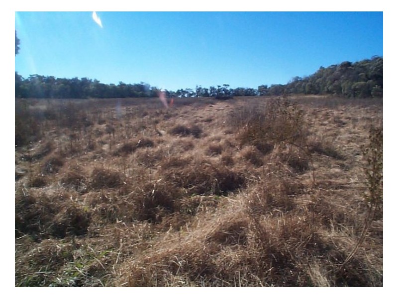 120  Pradellas Lane, Stanthorpe QLD 4380