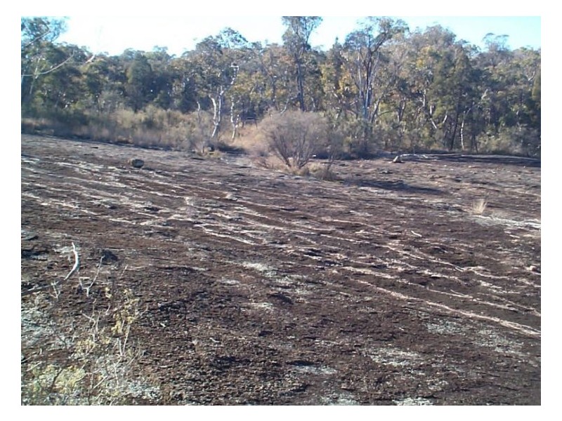 3 Rapisarda Lane, Stanthorpe QLD 4380