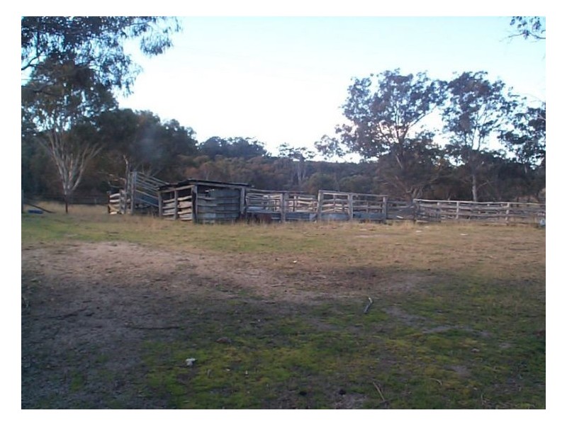 110 Spring Creek Road, Stanthorpe QLD 4380