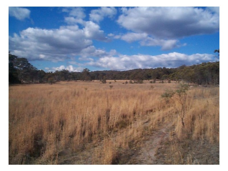 Stanthorpe QLD 4380