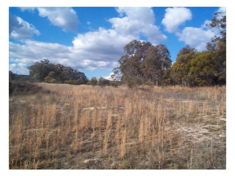 Stanthorpe QLD 4380