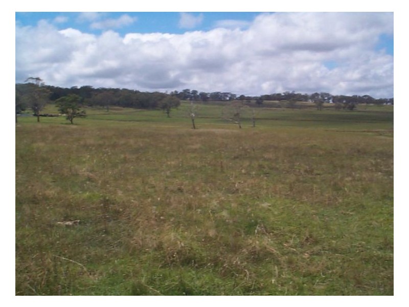 Stanthorpe QLD 4380