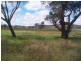 Stanthorpe QLD 4380