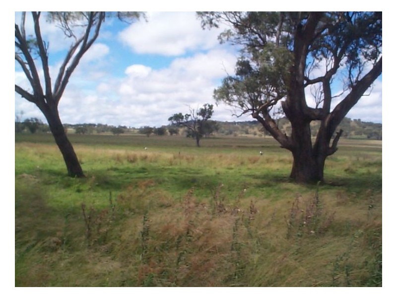 Stanthorpe QLD 4380