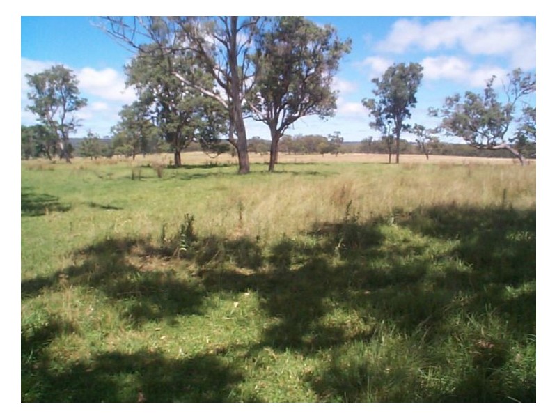 Stanthorpe QLD 4380