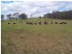 Stanthorpe QLD 4380