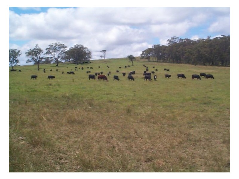 Stanthorpe QLD 4380