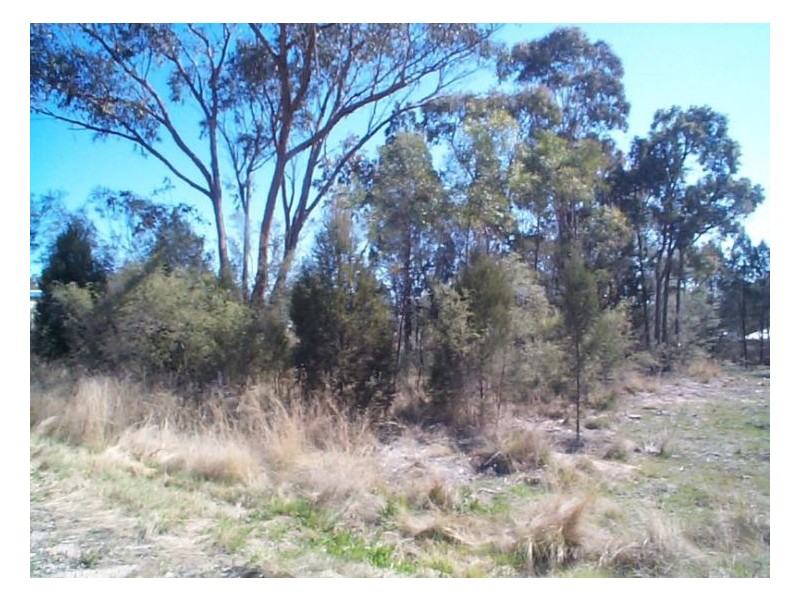Glen Aplin QLD 4381