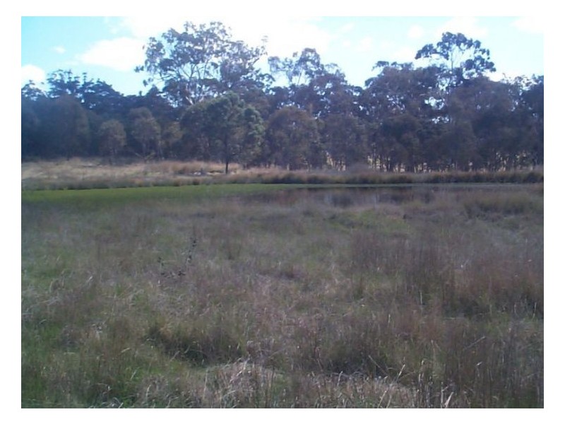 93 Old Coach Road, Dalveen QLD 4374